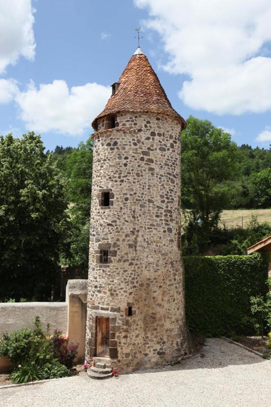 Domaine Saint-Roch Hotel Spa Salzuit المظهر الخارجي الصورة